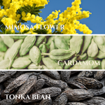 Load image into Gallery viewer, Avery  |  Scent Notes of Mimosa, Crushed Cardamom, Tonka Bean
