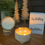Load image into Gallery viewer, The Piney Woods | Scent Notes of Balsam, Resin, Amber &amp; Woods
