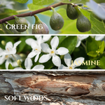 Load image into Gallery viewer, Janelle | Scent notes of Green Fig, Jasmine, Soft Woods
