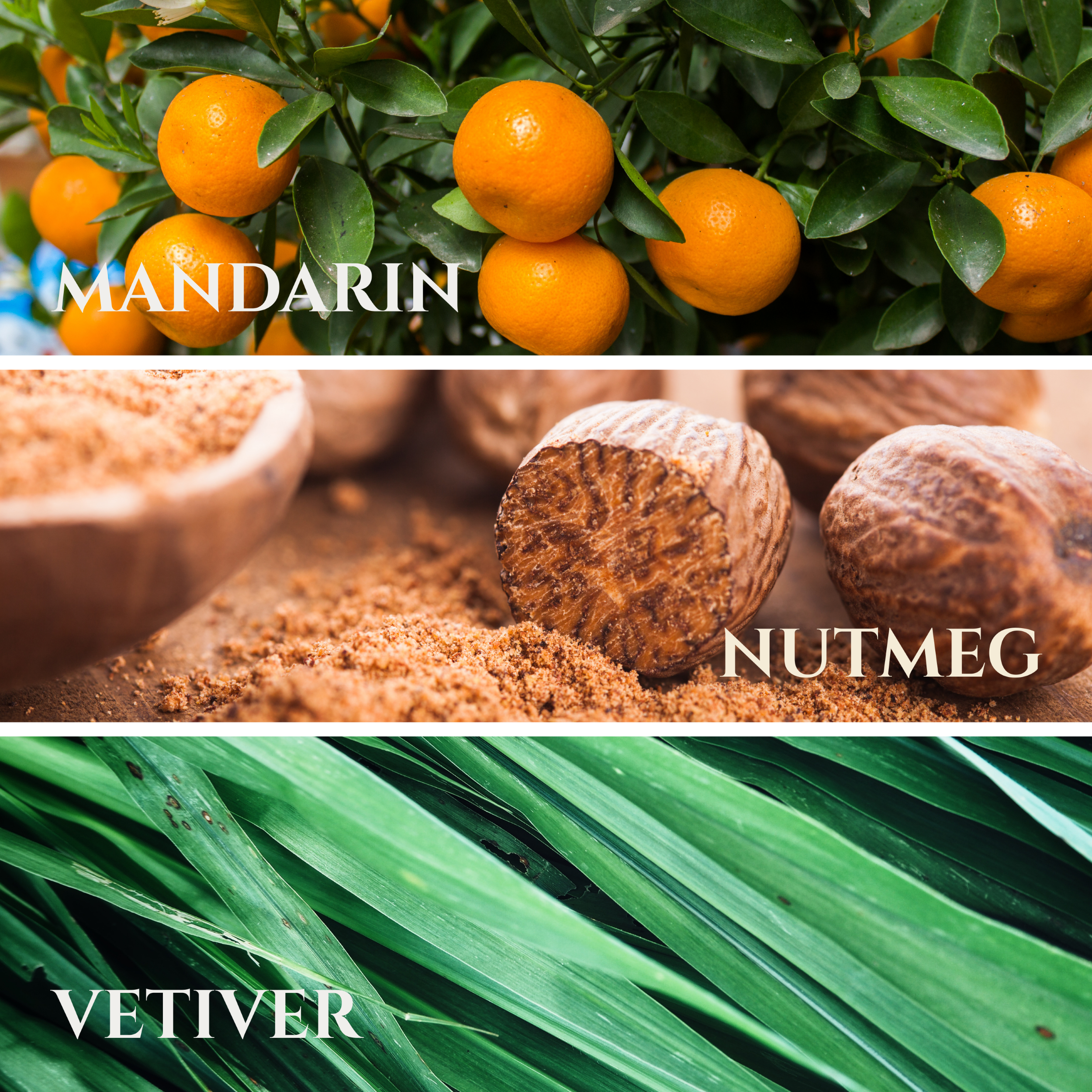 Jon B. |  Scent Notes of Mandarin, Nutmeg & Java Vetiver