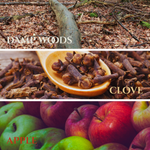 Load image into Gallery viewer, Theorosa's Bridge *LIMITED RELEASE* | Scent Notes of Damp Woods, Clove, Nutmeg, &amp; Apple
