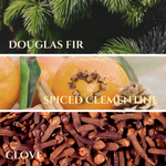 Load image into Gallery viewer, Black Forest | Scent notes of Douglas Fir, Spiced Clementine, &amp; Clove
